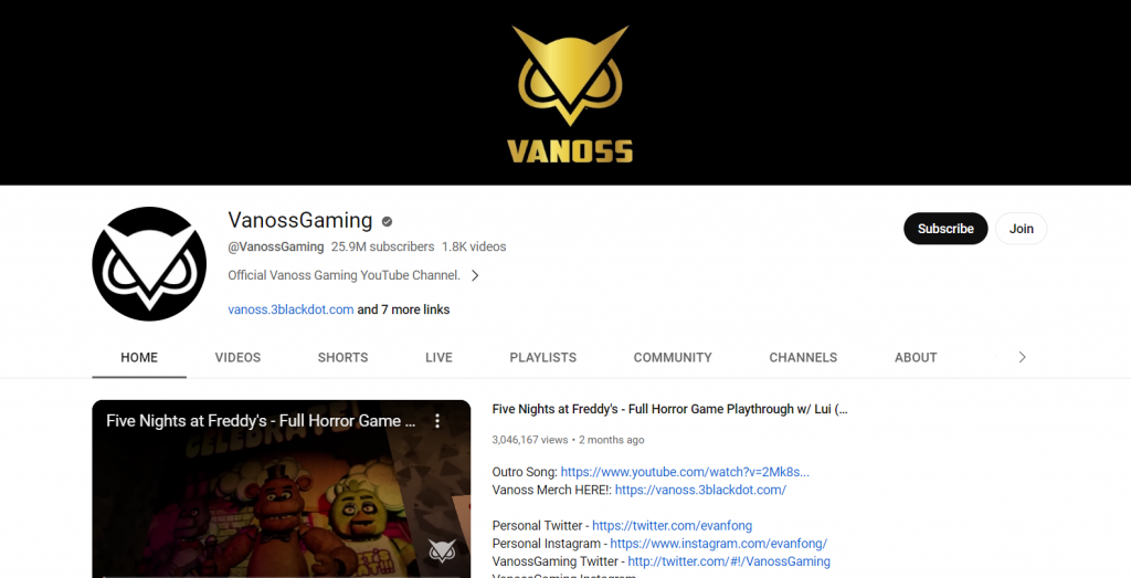 VanossGaming is shown as an example of combined gaming with  editing skills used to create engaging montages, demonstrating the importance of consistent, unique content for YouTube gaming channel