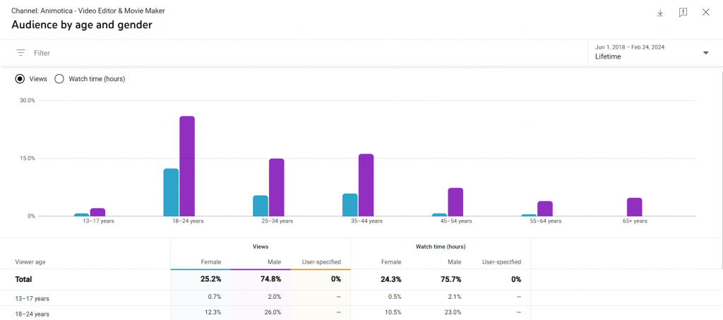 Youtube Analytics Dashboard - Audience Demographics