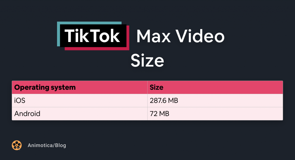 TikTok Max Video Size